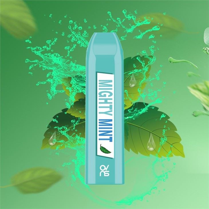 500Puffs Disposable Electronic Cigarette Vape Pen With Factory Price