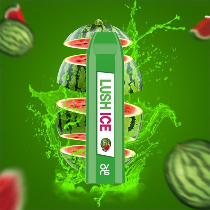 500Puffs Disposable Electronic Cigarette Vape Pen With Factory Price