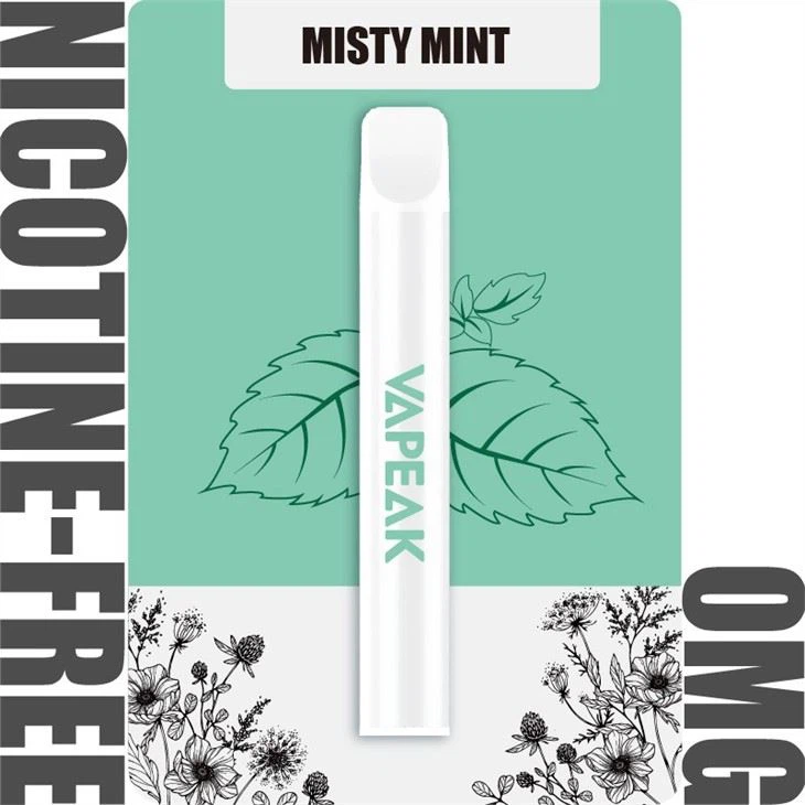 600 Puffs Free Nicotine Disposable Vape