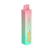 5000 Rookwolken Mesh Coil Wegwerp Vape